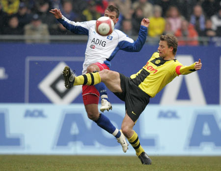 养新星的教 养新星的教